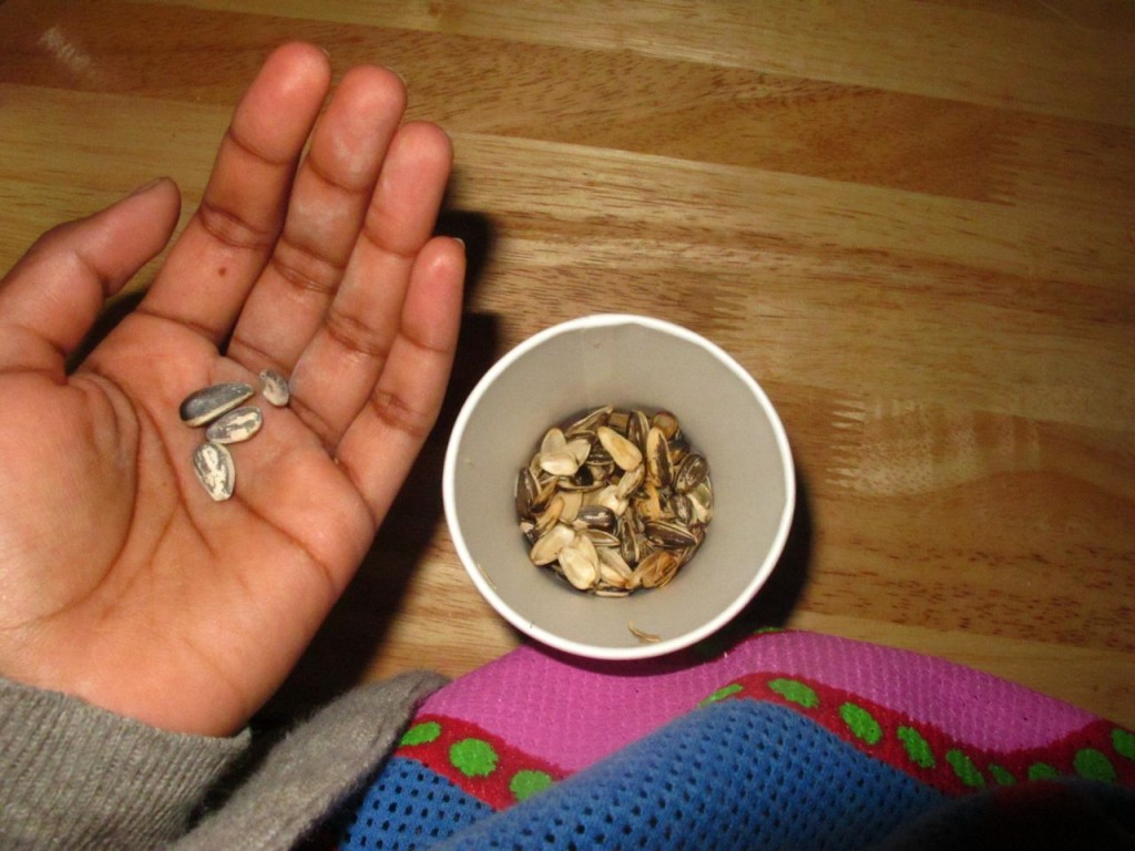 sunflower_seeds2 sunflower_seeds2
