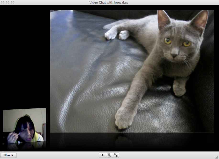 Screen shot 2010-01-11 at 1.56.01 AM Screen shot 2010-01-11 at 1.56.01 AM