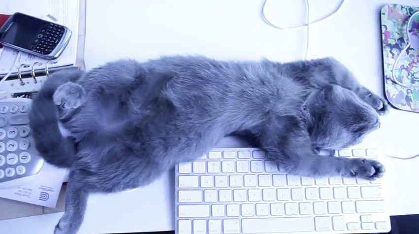 Screen shot 2010-03-10 at 8.47.07 AM Screen shot 2010-03-10 at 8.47.07 AM