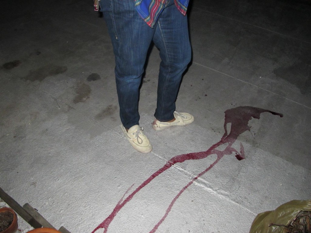 coco_roco08 coco_roco08