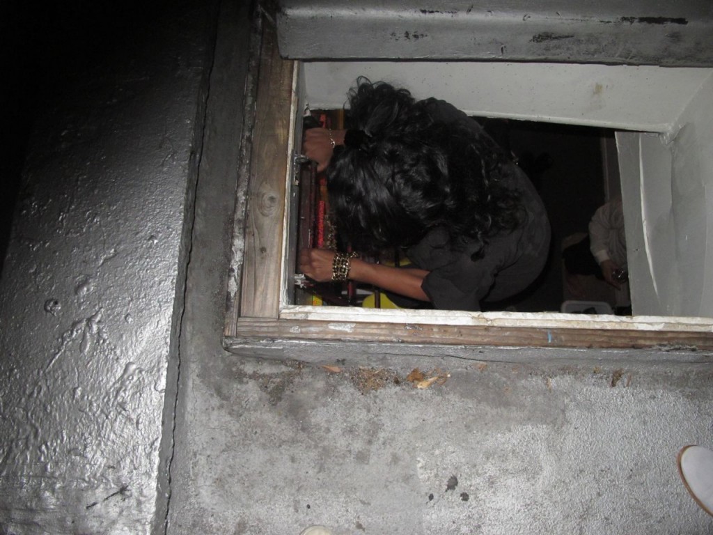 coco_roco09 coco_roco09