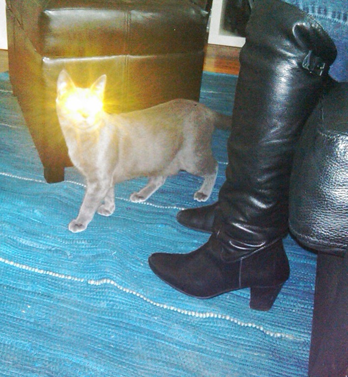 IMG01096-20100331-1510