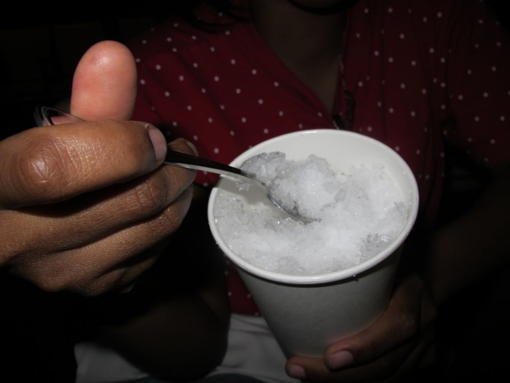 albany_tulipfest_201213