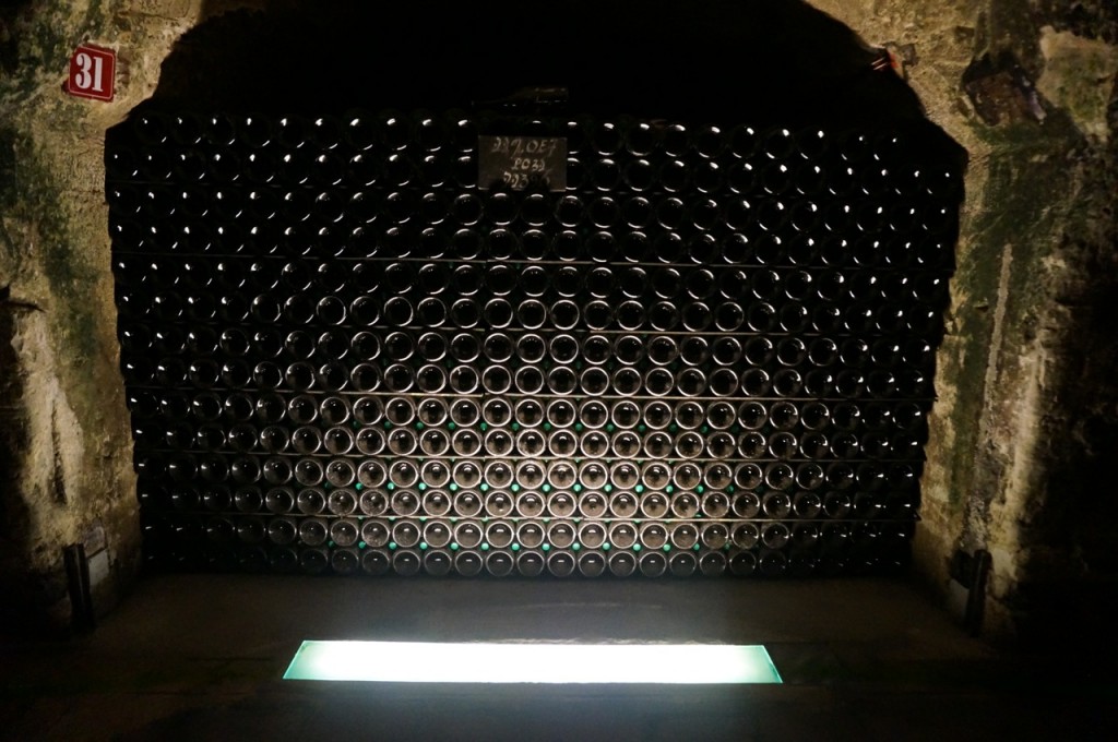 vashtie_parisbirthday_42014_DAY216