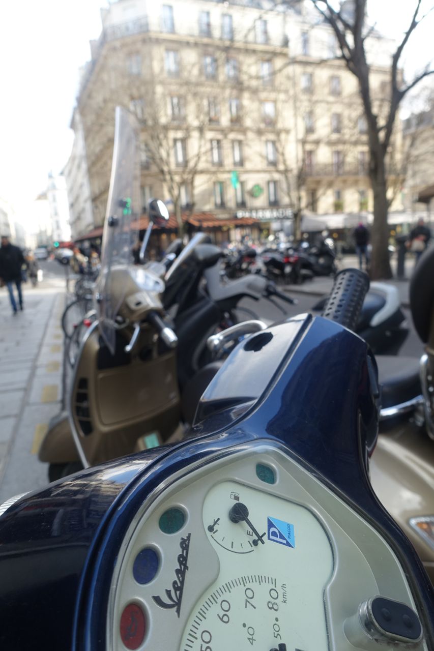 vashtie_pfw16_3201625